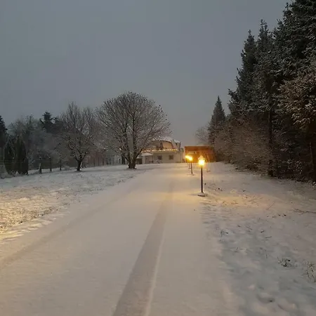 בית הארחה Gaestehaus Stein 3*