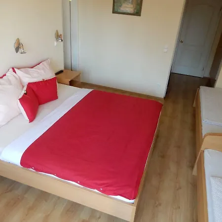 בית הארחה Gaestehaus Stein 3*